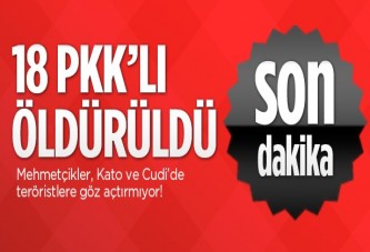 Cudi ve Kato'da 18 PKK'lı öldürüldü!