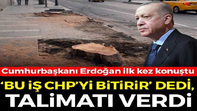Cumhurbaşkanı Erdoğandan İBBye ağaç tepkisi: Bu iş CHP’yi bitirir