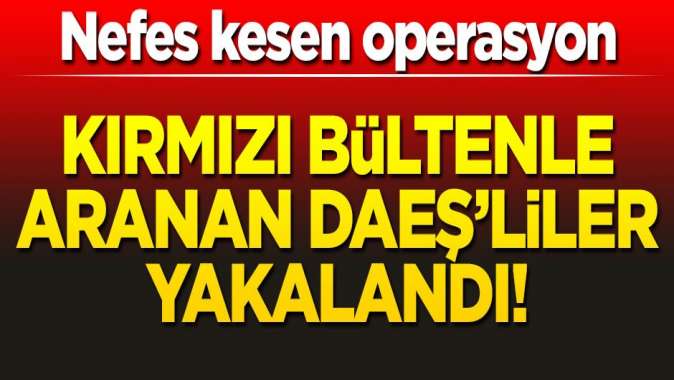 DAEŞe büyük darbe! Kırmızı bültenle aranan teröristler enselendi