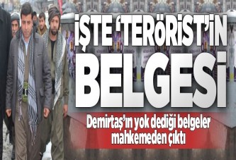 Demirtaş 'terörist değilim' dedi, belgesi ortaya çıktı!.