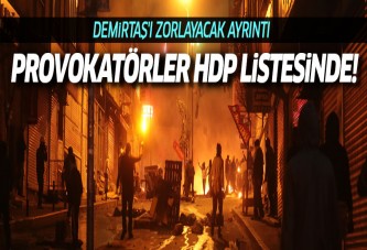 Demirtaş'ı çok terletecek detay!