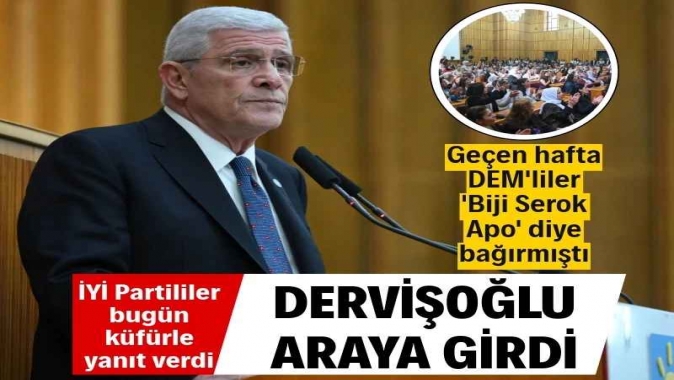 DEMliler Biji Serok Apo diye bağırmıştı, İYİ Partililer küfürle yanıt verdi