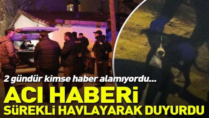 Denizlide 2 gündür haber alınamayan adamın cesedi köpeği sayesinde bulundu.