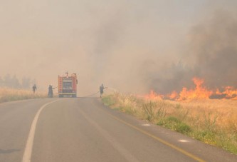 Denizli'de anız yangını ormana sıçradı