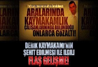 Derik Kaymakamı'nın şehit edilmesiyle ilgili flaş gelişme