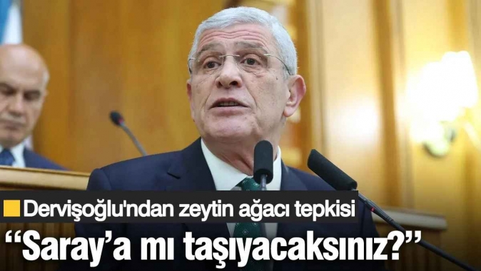 Dervişoğlu'ndan zeytin ağacı tepkisi: Saray'a mı taşıyacaksınız?