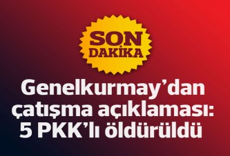 Diyadin'deki çatışmada 5 PKK'lı öldürüldü