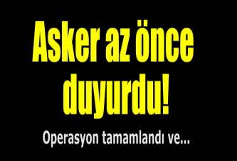 Diyarbakır Lice'de operasyon sona erdi!
