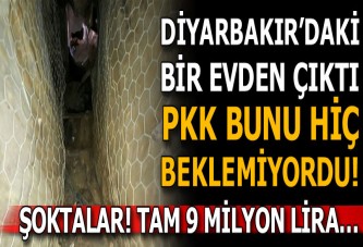 Diyarbakır'da PKK'ya ağır darbe! Piyasa değeri 9 milyon lira...