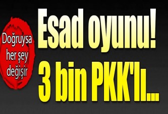 Doğruysa her şey değişir! 3 bin PKK'lı...