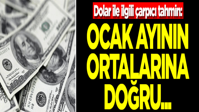 Dolar ile ilgili çarpıcı tahmin: Ocak ayının ortalarına doğru...