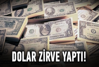 Dolar zirve yaptı!