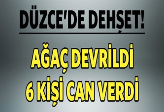 Düzce'de şiddetli rüzgâr traktörü devirdi: 6 ölü, 15 yaralı