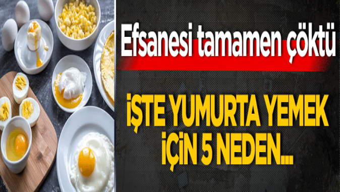 Efsanesi tamamen çöktü! İşte yumurta yemek için 5 neden…