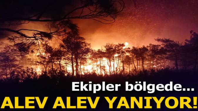 Ekipler bölgede! Alev alev yanıyor