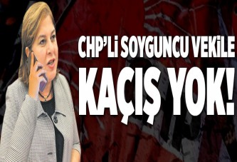 Elif Doğan Türkmen hakkında suç duyurusu.
