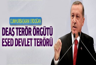 Erdoğan: DEAŞ terör örgütü, Esed devlet terörü!