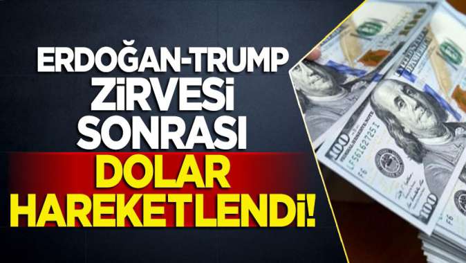 Erdoğan-Trump zirvesi sonrası dolar hareketlendi!