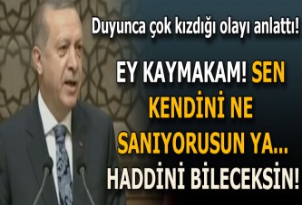 Erdoğan: Türkiye taarruz pozisyonuna geçmiştir...