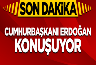 Erdoğan'dan AP'ye sert tepki!