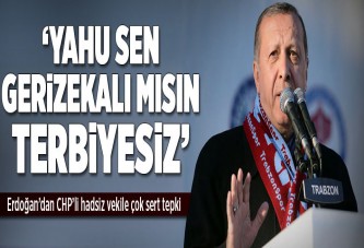 Erdoğan'dan CHP'li vekile sert tepki.