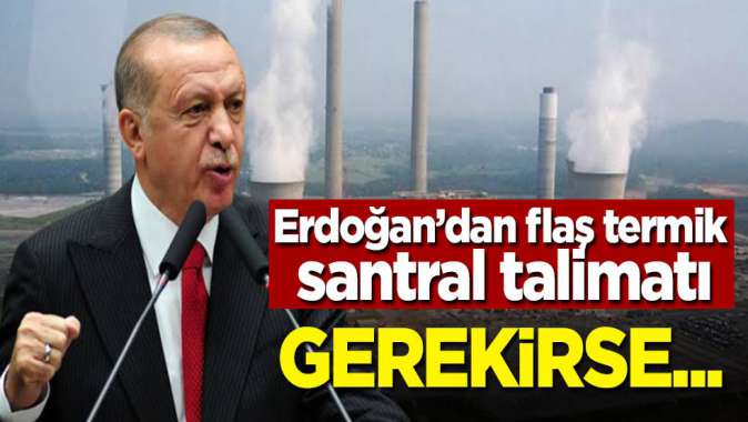 Erdoğandan termik santral talimatı! Gerekirse...