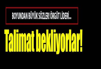Esad'dan talimat bekliyorlar!