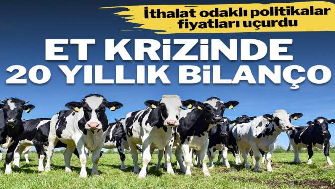 Et krizinde 20 yıllık bilanço