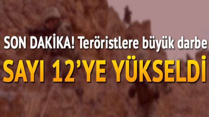 Etkisiz hale getirilen terörist sayısı 12 oldu