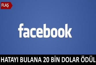 Facebook'ta hata bulana ödül