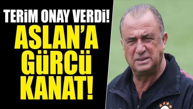 Fatih Terim onay verdi! Aslana Gürcü kanat!