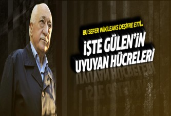 Gülen'in uyuyan hücreleri