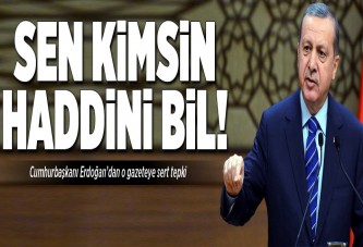 Haddini bil NY Times
