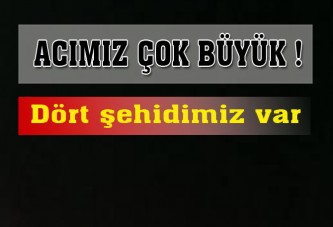 Hainler yine saldırdı