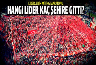 Hangi Lider kaç ilde miting yaptı?