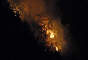 Hatay'da orman yangını