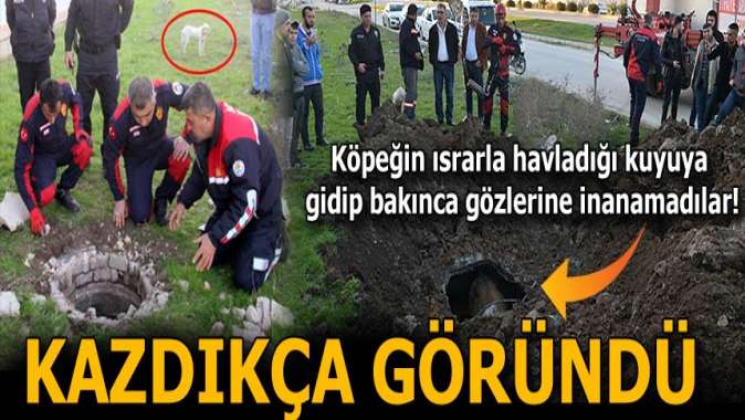 Havlayan köpeği takip edince gözlerine inanamadılar