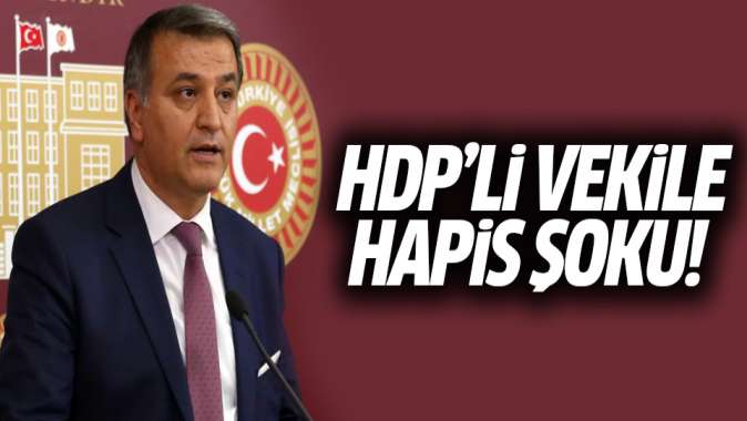 HDP Milletvekili, hapis cezasına çarptırıldı