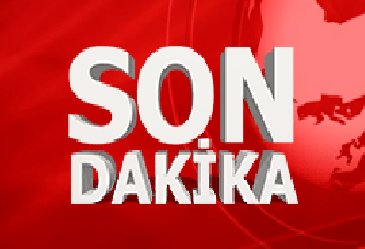 HDP'li Aysel Tuğluk tutuklandı
