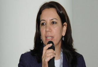 HDP'li Irmak: Vali, kaymakam ve emniyet müdürünün oyunu istiyoruz