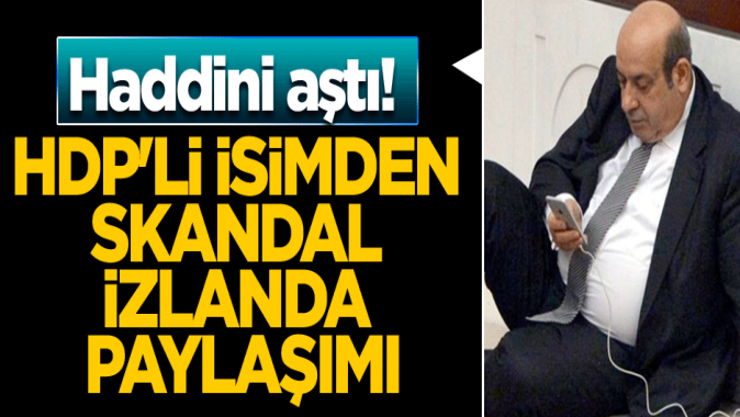 HDPli isimden skandal İzlanda paylaşımı... Haddini aştı!