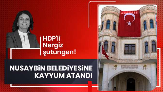 HDP'li Nergiz'in yerine Nusaybin Kaymakamı Mehmet Balıkçılar görevlendirildi