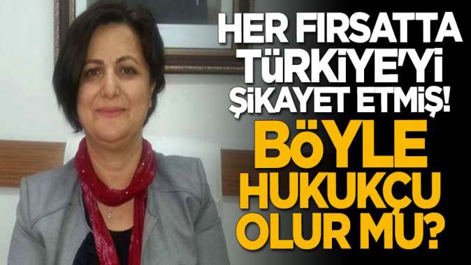 Her fırsatta Türkiyeyi şikayet etmiş! Böyle hukukçu olur mu?