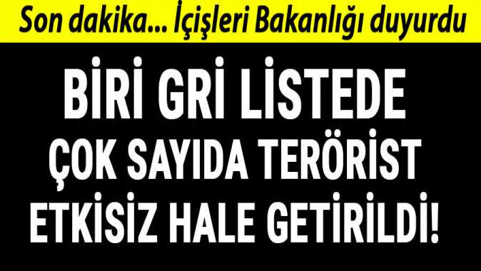 İçişleri Bakanlığı duyurdu! Biri gri listede 7 terörist etkisiz hale getirildi