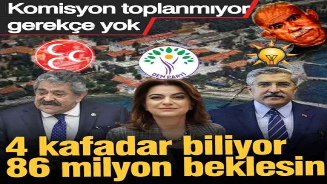 İmralı ziyareti sonrası komisyonun toplanacağı gün belli oldu