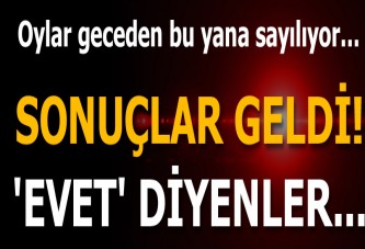 İrlanda'dan ilk sonuçlar geldi!
