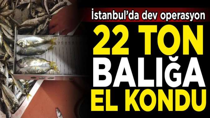 İstanbulda dev operasyon! Yasal boy sınırı altında avlanan 22 ton balığa el konuldu