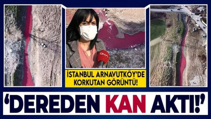 İstanbulda korkutan görüntü! Dere kırmızıya boyandı