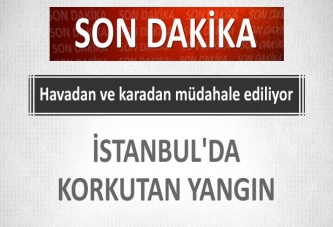 İstanbul'da korkutan yangın