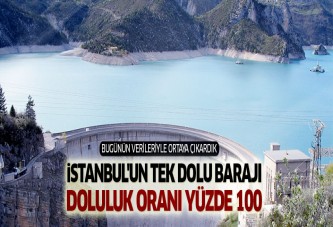 İstanbul'u besleyen barajlar arasında en dolusu: Istrancalar!